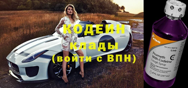 крисы Богородск