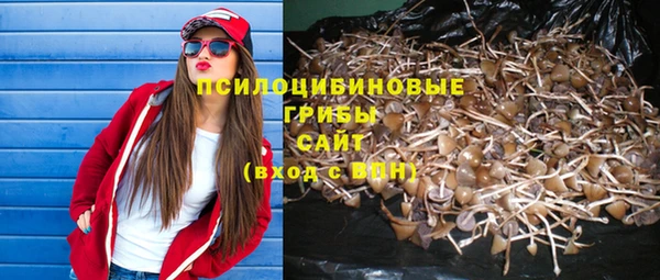 молекула духа Елизово